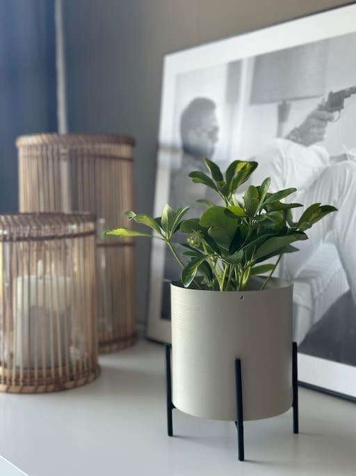 For Rent During Ons Less Than 100m From The Exhibition Area Stavanger