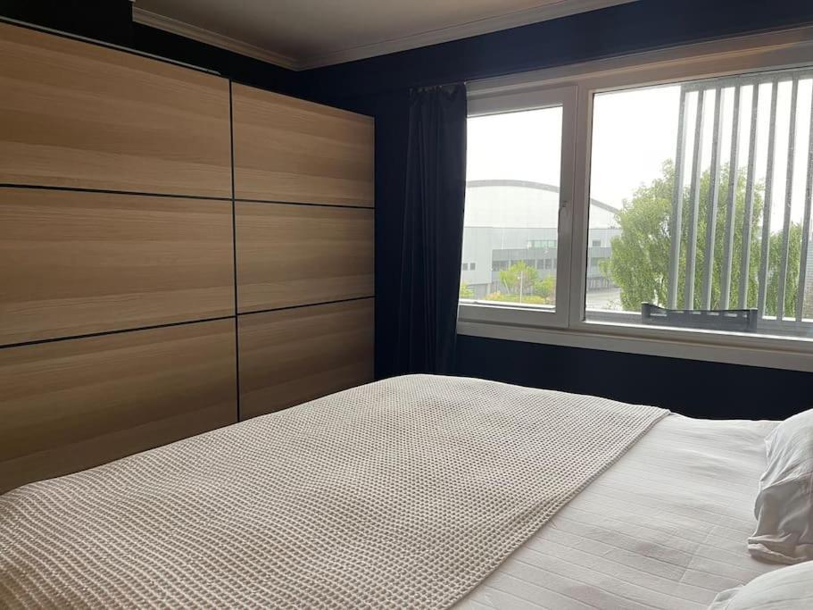 For Rent During Ons Less Than 100m From The Exhibition Area